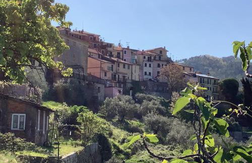 317 - CA' RONDINE - Tra le Colline e il Mare, a 15 minuti di auto dalle spiagge di Sestri Levante - Foto 8