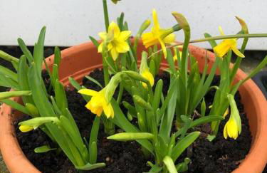 Pinto Holiday Home Oakdene Forest Park Passes Inc! - Foto 42