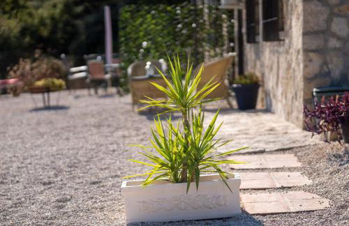 Hacienda la buena vida B&B en appartementen casita almendas - Foto 26