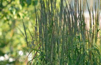 Ferienwohnungen im Fischerdorf und - Foto 15