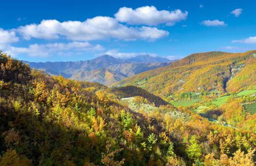 La casa sul ponte - Foto 12