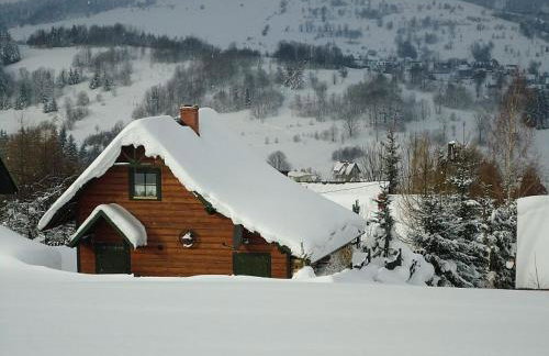 Noconiówka - Foto 13