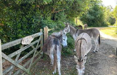 Bessie May Cottage - Foto 51