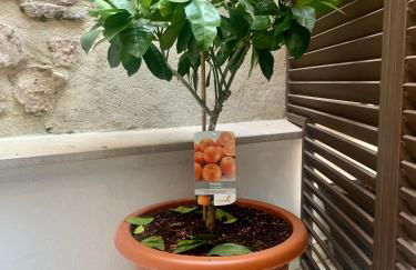 Puerta de Caceres Apartamento 1 - Foto 33