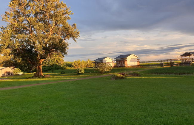 Koffiemama Tree B&B - Photo 18