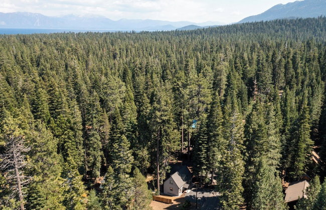Sweet Pine Deck + Hot Tub, Cozy Modern Interior Close to Ski Resort! - Foto 39