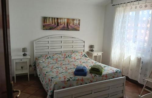 Il gelsomino - Foto 14