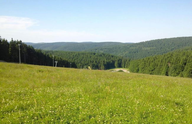 Apartment in Schnett Near the ski Area - Foto 39