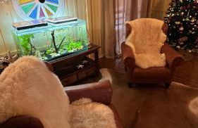 Sítio com piscina, churrasqueira, lareira, fogão à lenha, mesa de sinuca e vista para as montanhas - Foto 18