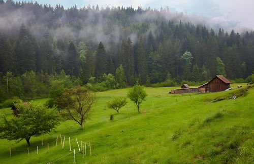 Haus Am Kaltenbach - Foto 20