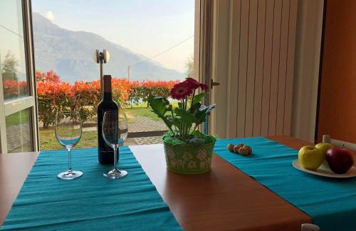 Residence La Collina - Photo 80