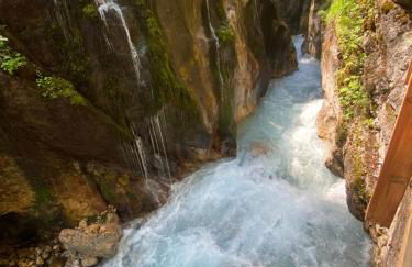 Salinenblick - Foto 46