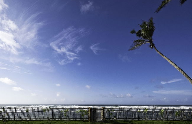 Tea Tree Villa - Photo 38