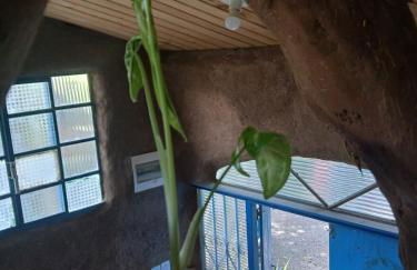 Casa do Arará - Photo 2