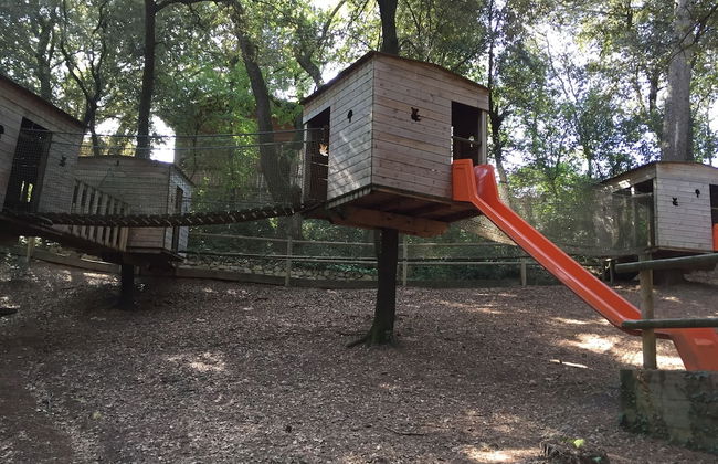 Mas Fuselles - Photo 13