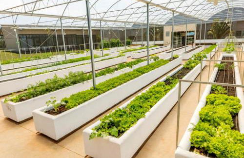 Casa de Campo com piscina Ninho Verde 2 - Foto 49