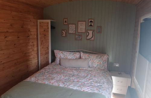 Anglesey new modern shepherds hut with spa hot tub - Foto 37