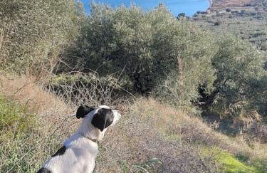 Little Bit Of Heaven - Foto 35