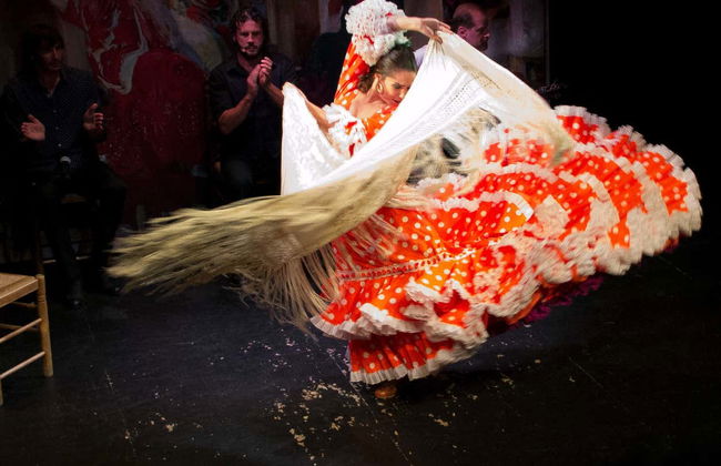 Espectáculo en el Teatro Flamenco Triana - Foto 7