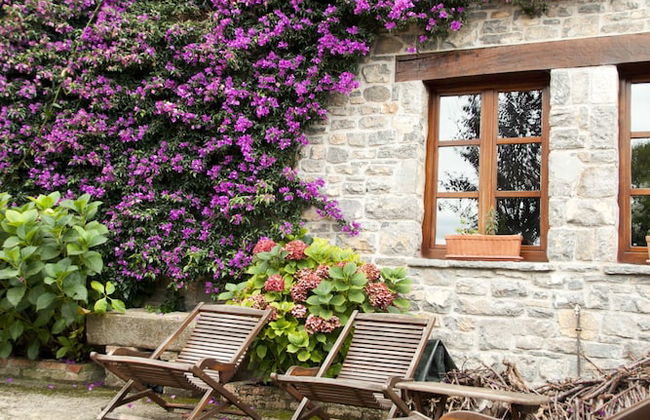 Trisqueles y Buganvillas - Photo 44