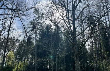 GADD Ferienwohnung # 002 Glück an der Donau # Best Elegant Suite 24#7 Check in - Foto 63