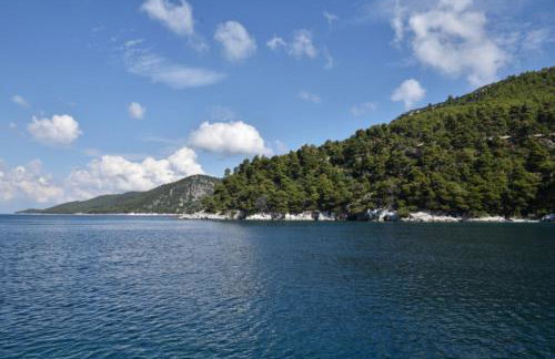 Skopelos Country House Diamantis & Chrisi - Foto 106