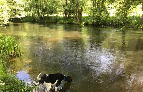 Dom Mossa - Photo 43