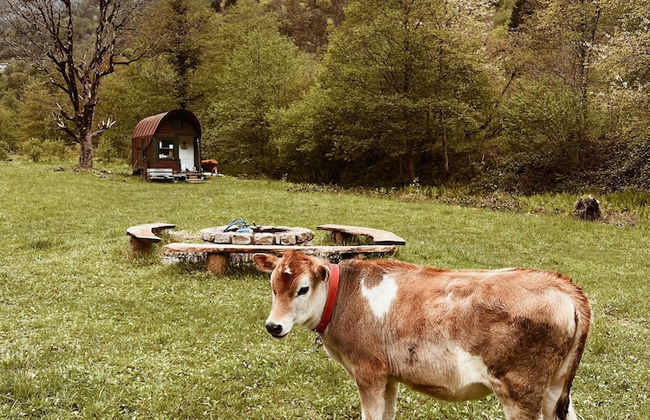 Moçkar House - Photo 47