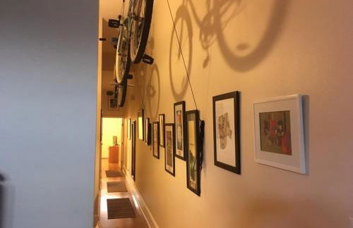 Near bustling Magazine St with bikes - Foto 4