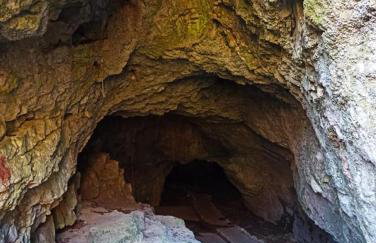 WOODEN HOUSE near the River Kupa - Foto 53