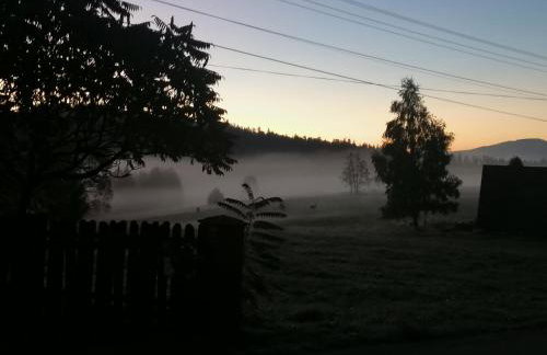 Olberówka - Foto 23