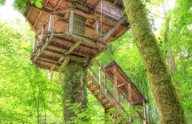 L'Arbre à Cabane - Foto 15