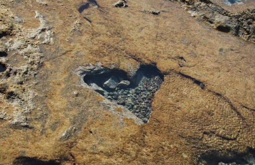 Casa Yerida - Foto 10