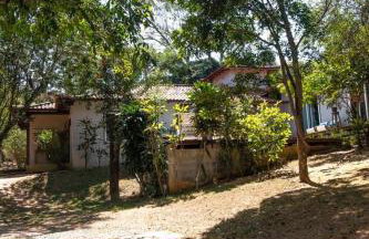 Canto dos pássaros - Foto 13