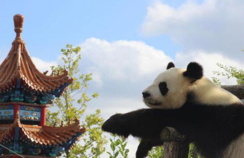 Gîtes à l'ombre des chênes - Foto 19