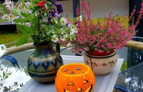 Kristians Hus - Foto 10