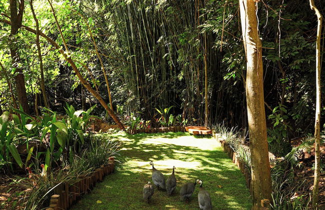 Hotel Fazenda Vale Amanhecer - Photo 69