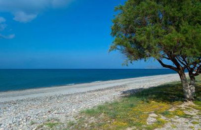 Ledra Maleme Hotel - Foto 28