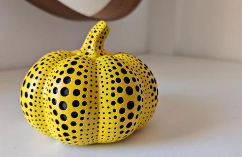 Casa Kusama - Photo 26