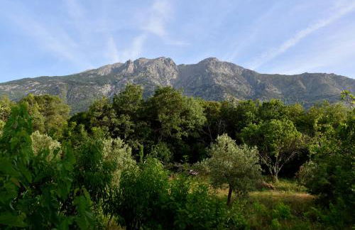 Mirsini Apartments - Foto 66