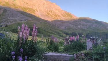 Le Ptit Chalet - Foto 4