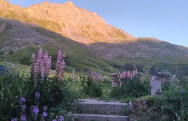 Le Ptit Chalet - Foto 4