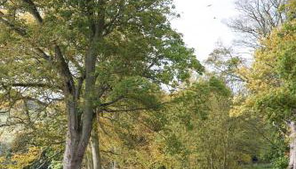 Balmule House - Photo 4