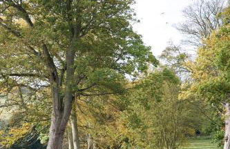 Balmule House - Foto 4