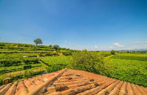 Agriturismo Corte Albarel - Foto 3