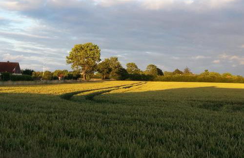 Ferienwohnung "Bittner" - Foto 9