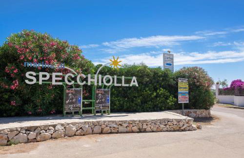 Appartamento Lido Specchiolla - Foto 13