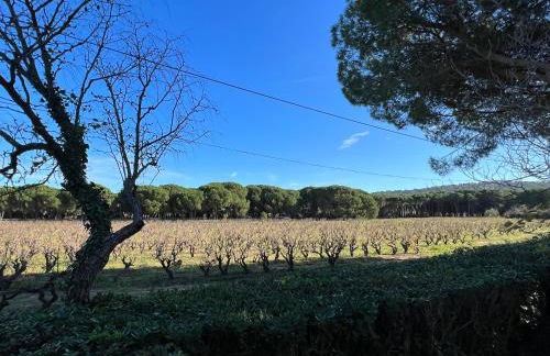 Studio 2 Villalormarin - Foto 8