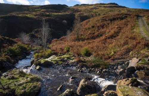 Capercaillie Cottage - Luxury converted steading - Photo 25