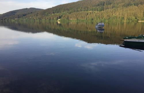 Titisee Haus Vogelnest - Photo 63